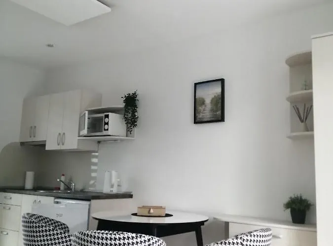 アパート Apartamentai Jurates Gatveje パランガ